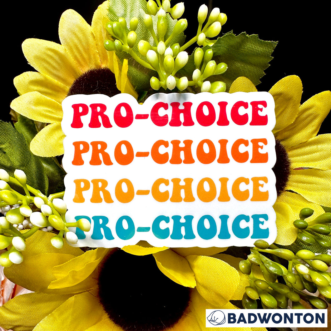 Retro Pro Choice Sticker